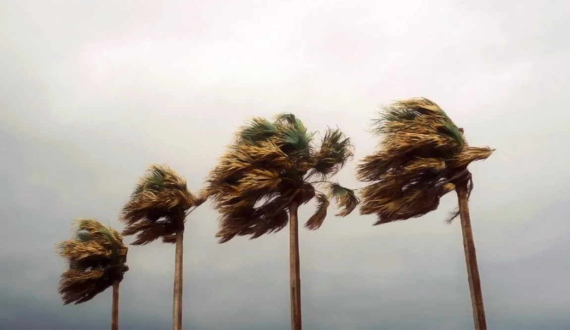 Cyclone Chido à Mayotte
