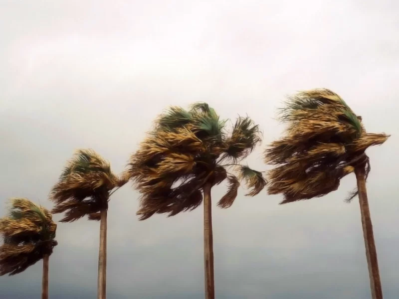 Cyclone Chido à Mayotte