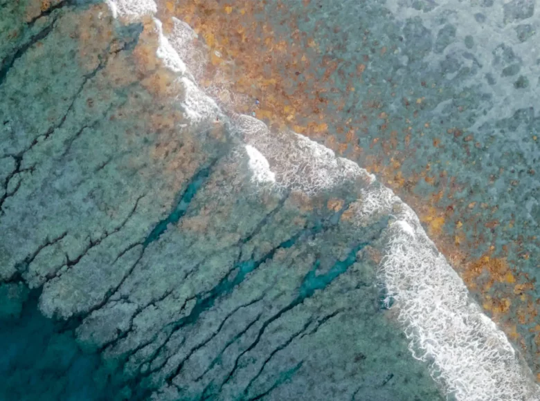 Bilan économie circulaire La Réunion