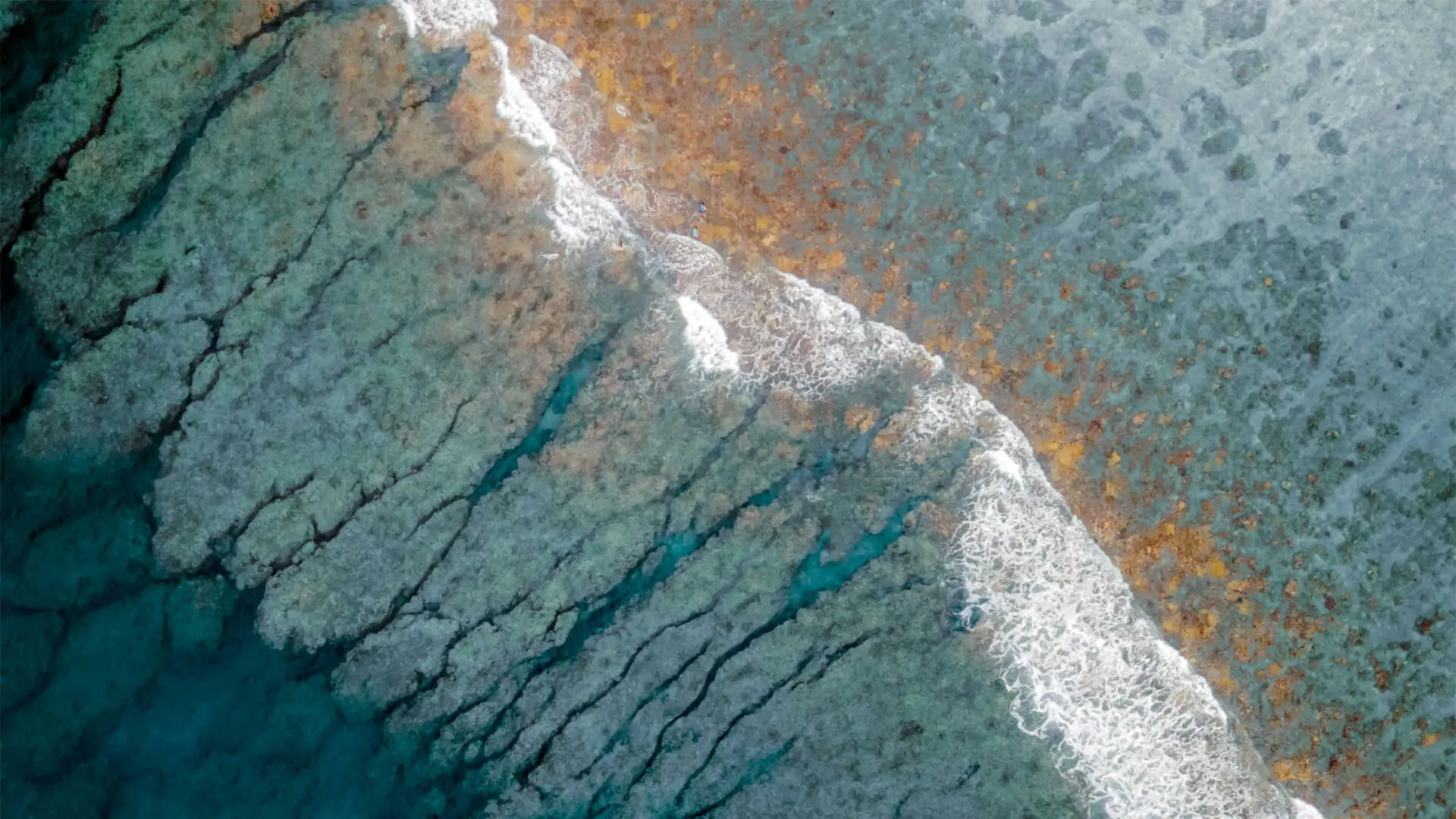 Bilan économie circulaire La Réunion